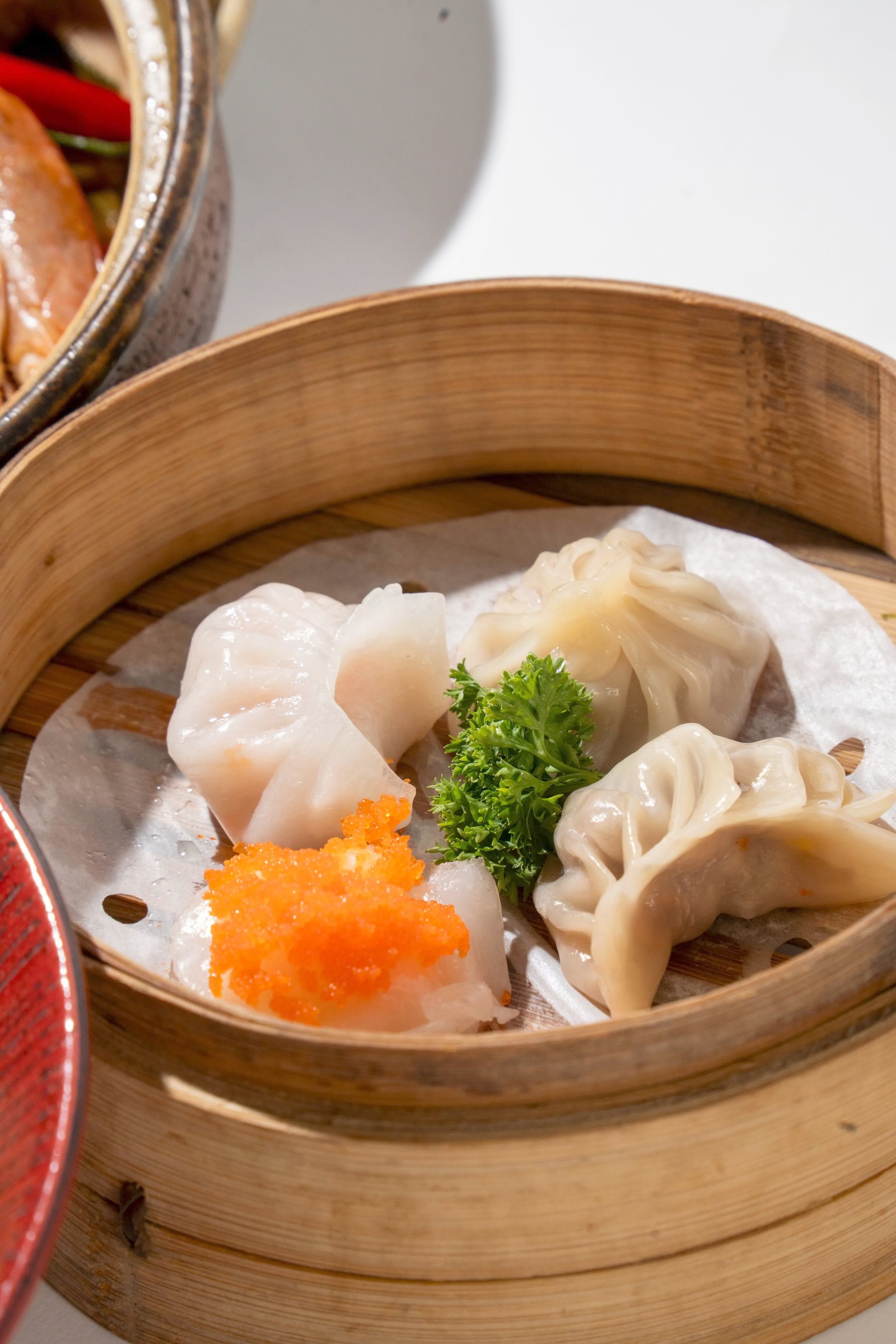 Fusion & Dumplings House