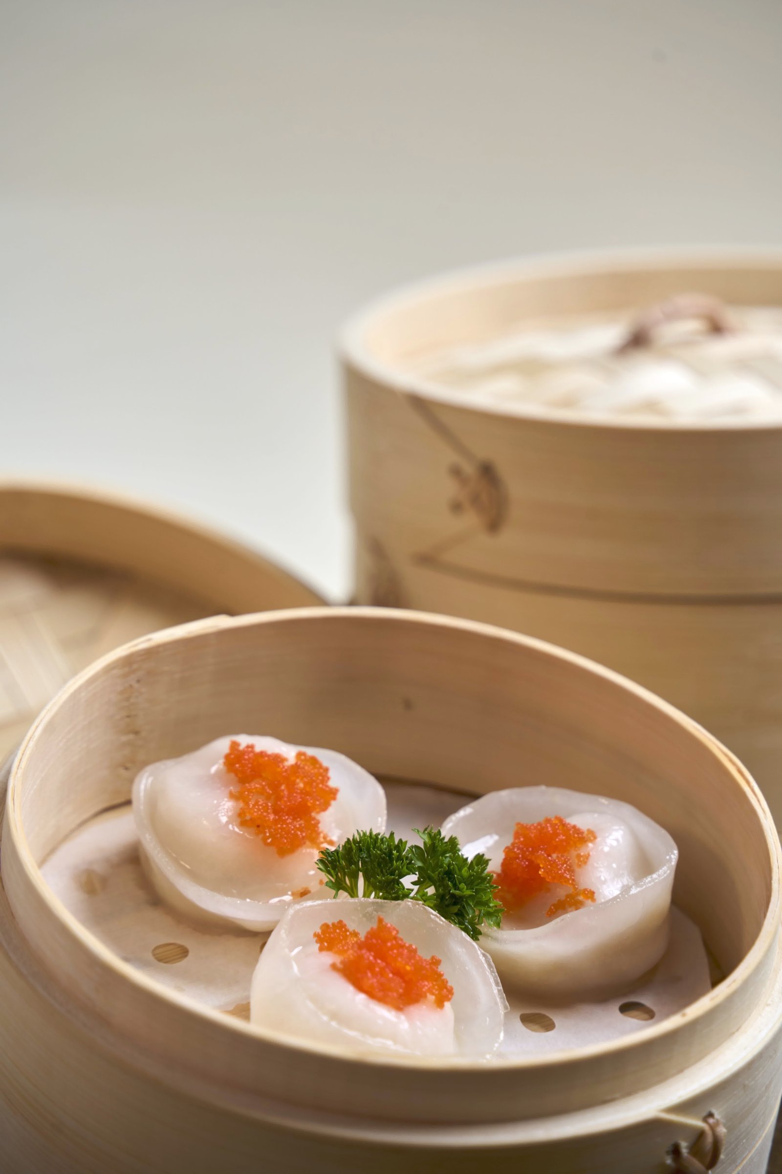 Fusion & Dumplings House